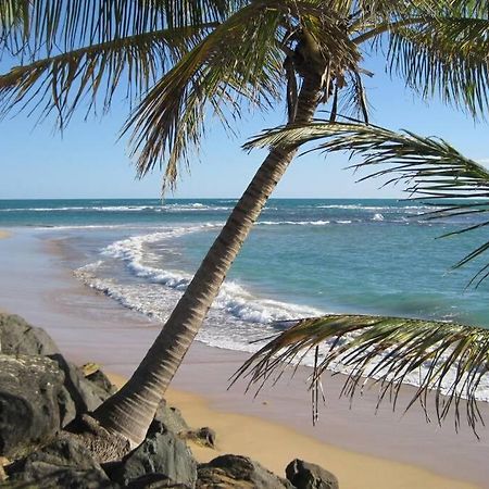 Comfortable And Affordable Deal Close To Beach And Rainforest Rio Grande Exteriör bild