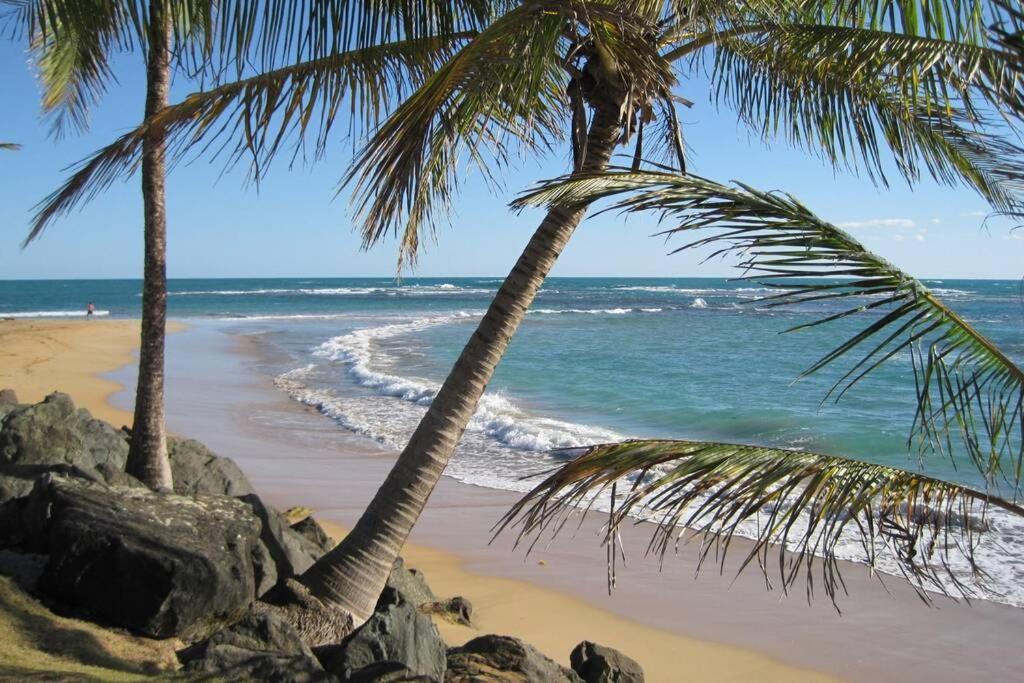 Comfortable And Affordable Deal Close To Beach And Rainforest Rio Grande Exteriör bild